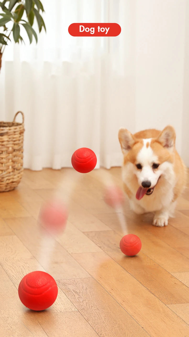 Durable rubber ball dog toy — photo 10