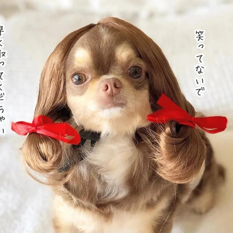 Funny Pet Wigs – Cosplay Costume Hair for Dogs & Cats
