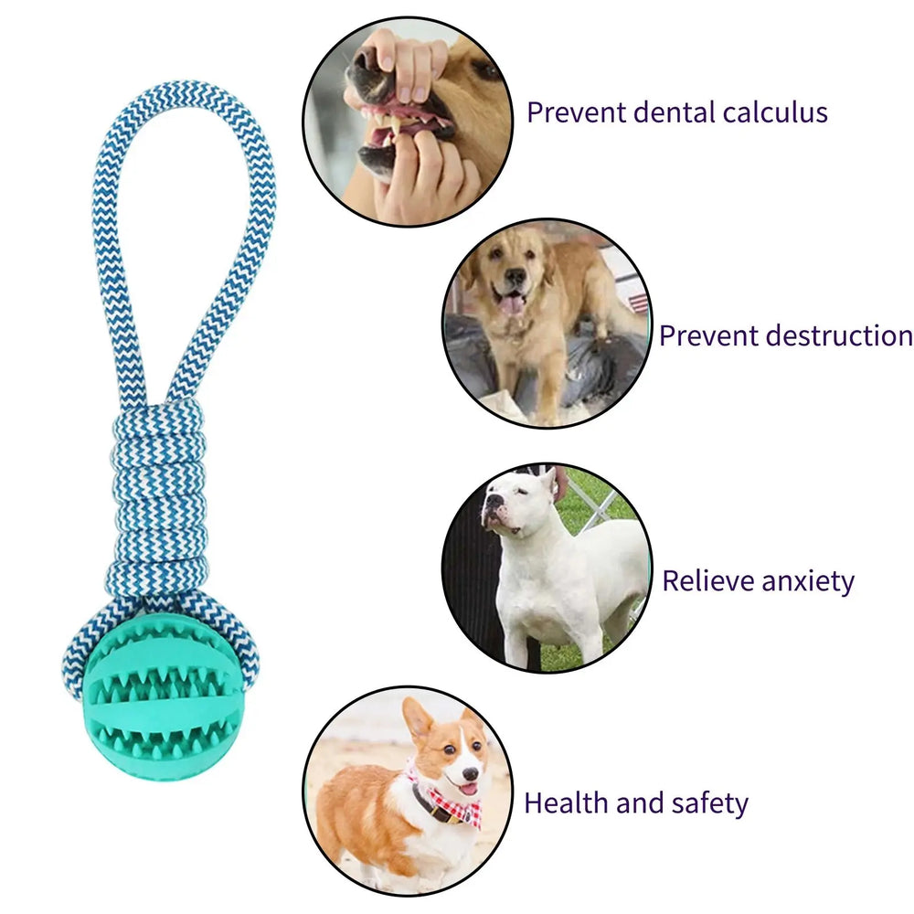 IQ treat ball rope dog toy — photo 3