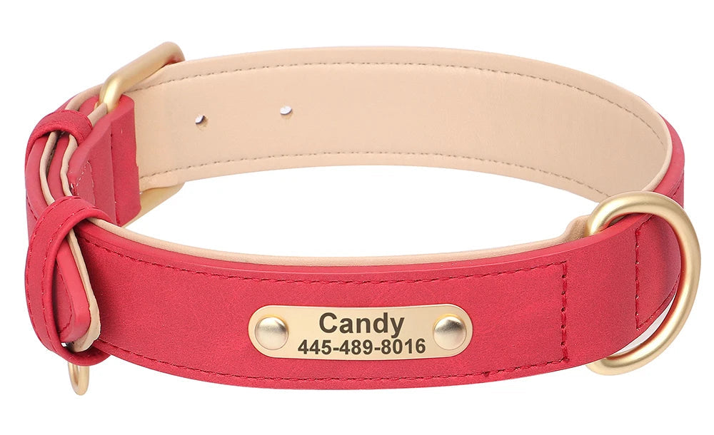 Personalized Leather Dog Collar – Free Custom Engraving