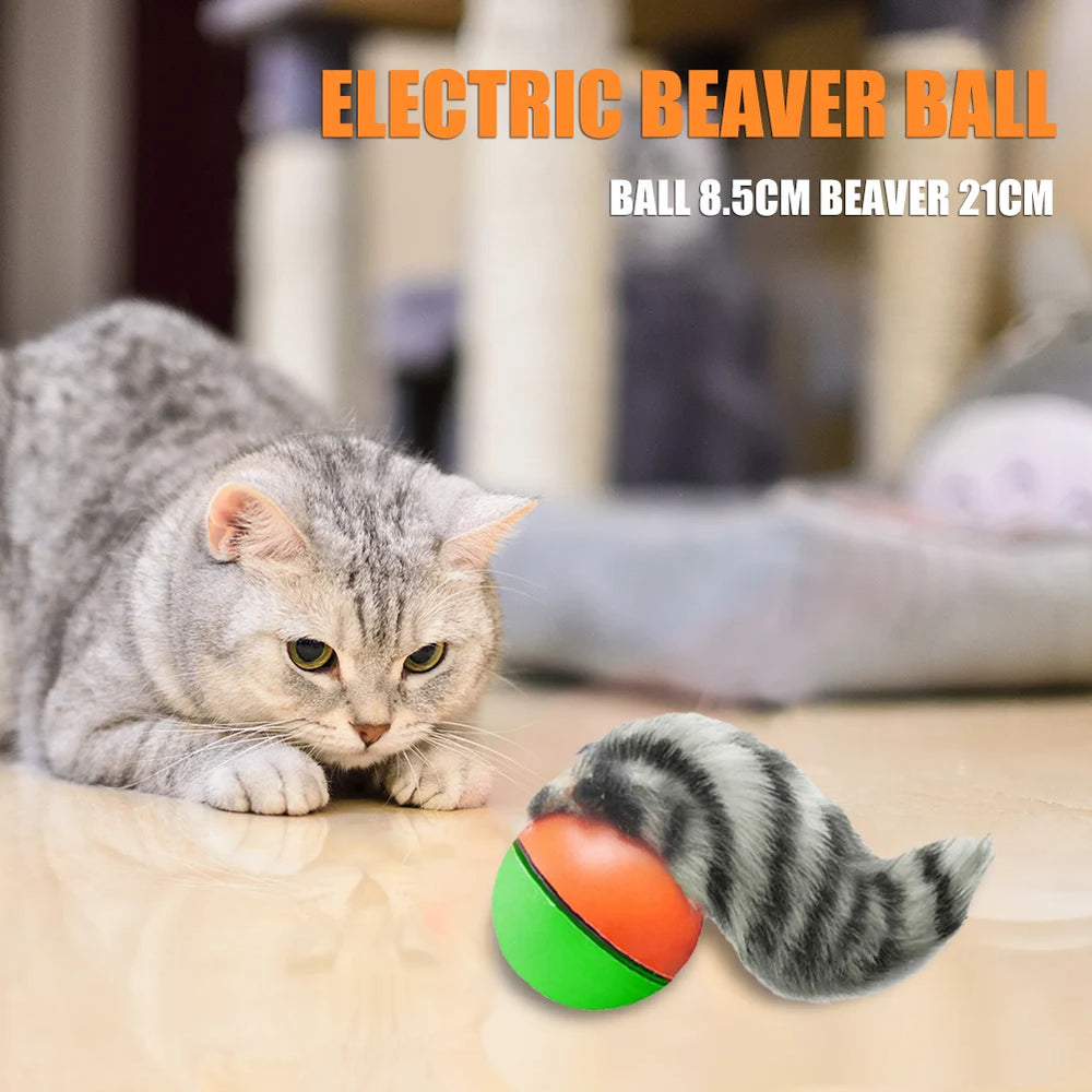 Interactive rolling ball toy for dogs and cats — photo 4
