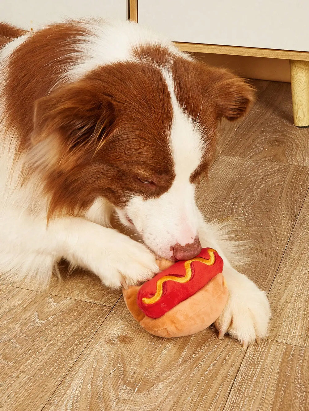 Hot Dog Plush Squeaky Toy — Funny Teeth-Grinding Chew for Dogs