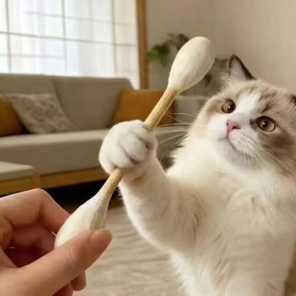 Natural wood cat chew sticks 3-pack — main product photo