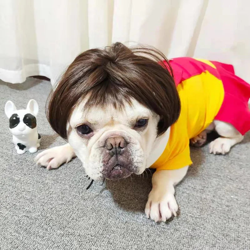 Funny Pet Wigs – Cosplay Costume Hair for Dogs & Cats