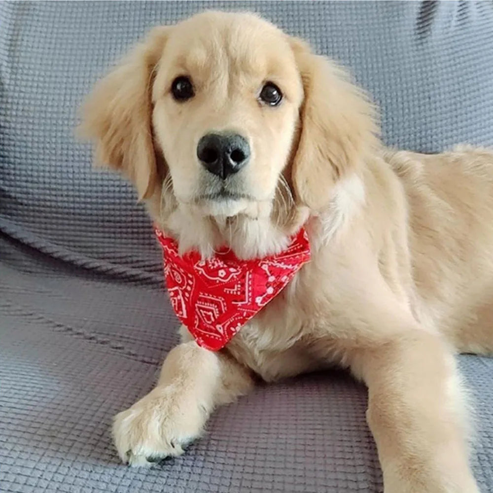 Dog Bandana Collar — Adjustable Scarf Bib for Dogs & Cats (All Sizes)