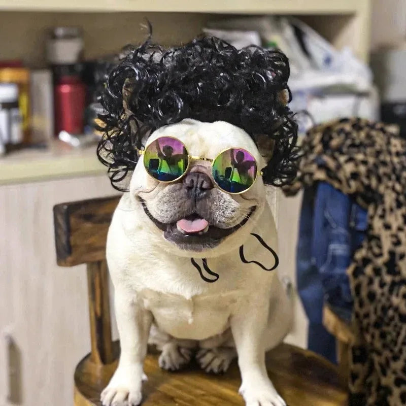 Funny Pet Wigs – Cosplay Costume Hair for Dogs & Cats