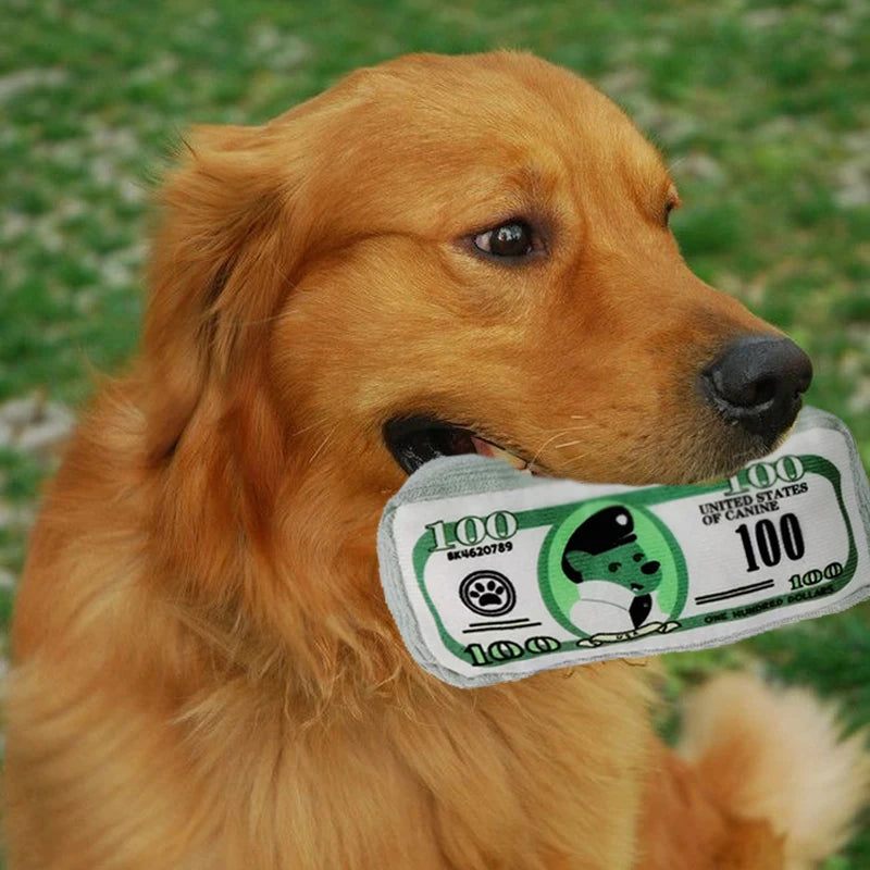 Money roll plush dog toy — photo 9