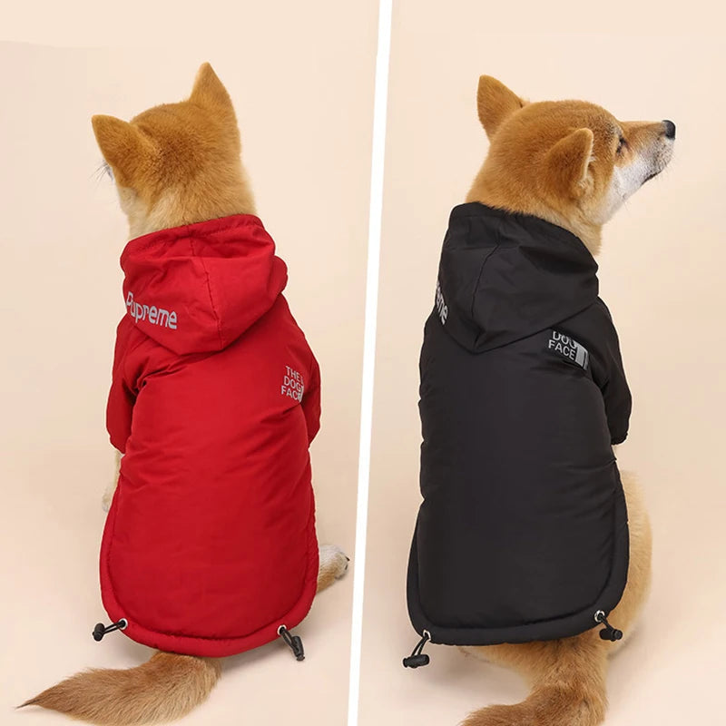 Waterproof Winter Dog Coat — Warm Padded Hoodie with Reflective Trim