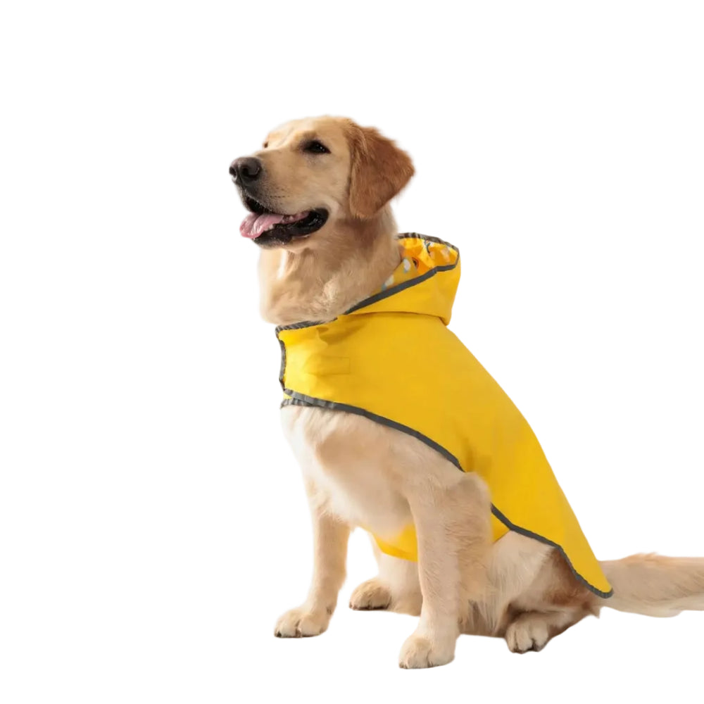 Double-Layer Dog Raincoat — Reversible Two-Way Waterproof Rain Jacket