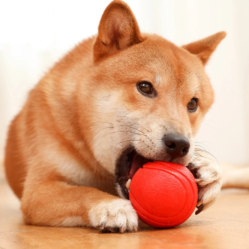 Durable rubber ball dog toy — photo 3