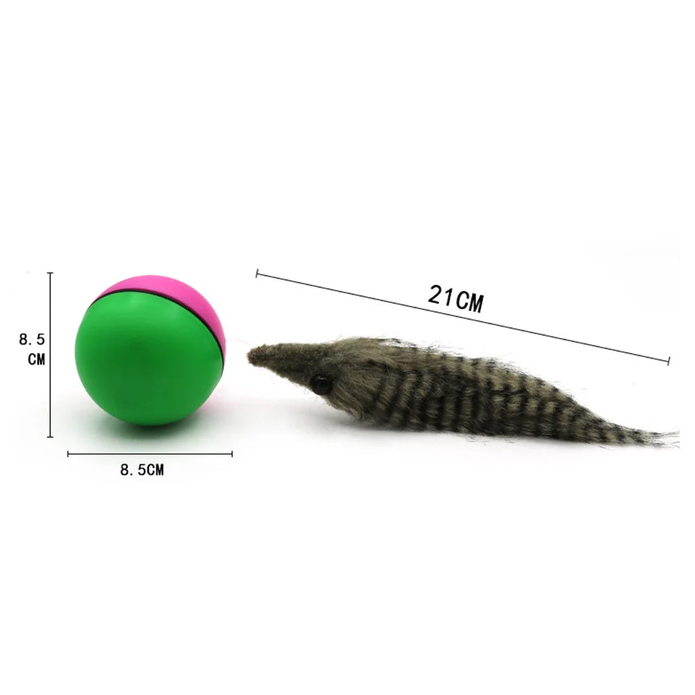 Interactive rolling ball toy for dogs and cats — photo 6