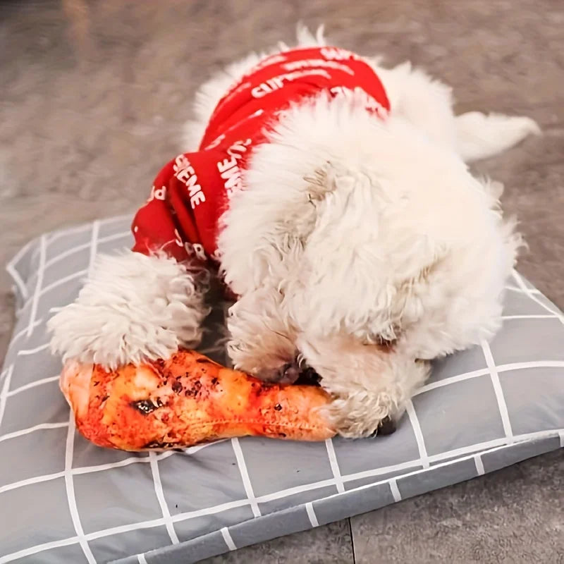 Realistic Chicken Leg Plush Dog Toy — Squeaky Teeth-Cleaning Chew
