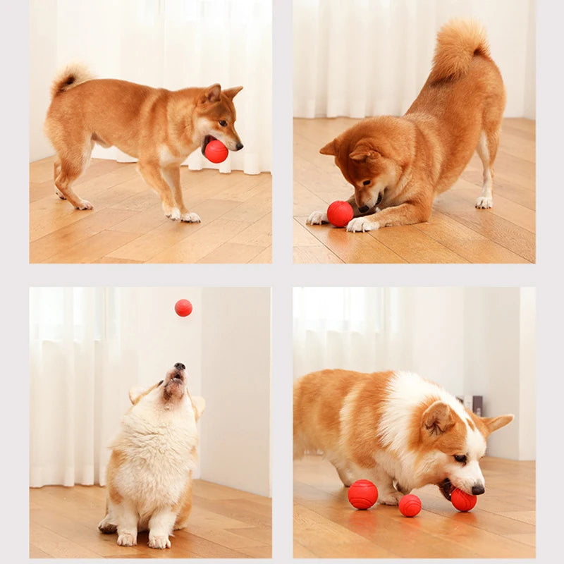Durable rubber ball dog toy — photo 4
