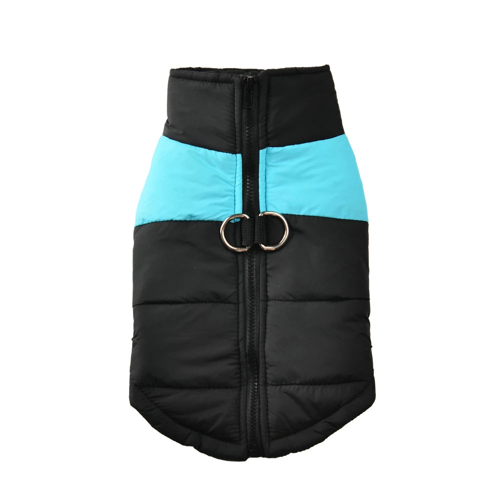 Windproof Winter Dog Jacket — Waterproof Padded Vest with Leash D-Ring