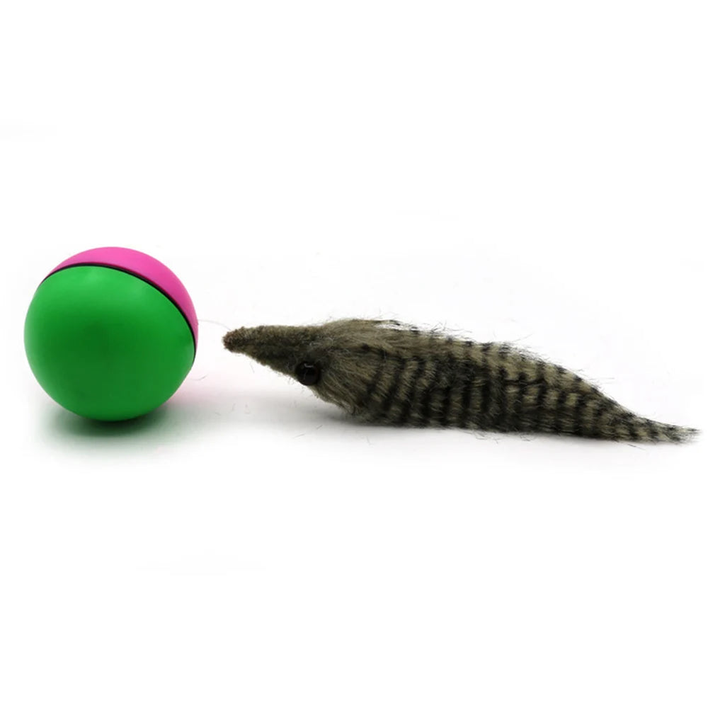 Interactive rolling ball pet toy — photo 16
