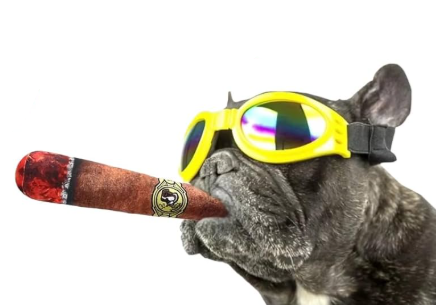 Funny Cigar Plush Dog Toy — Squeaky Novelty Chew for Medium & Large Dogs