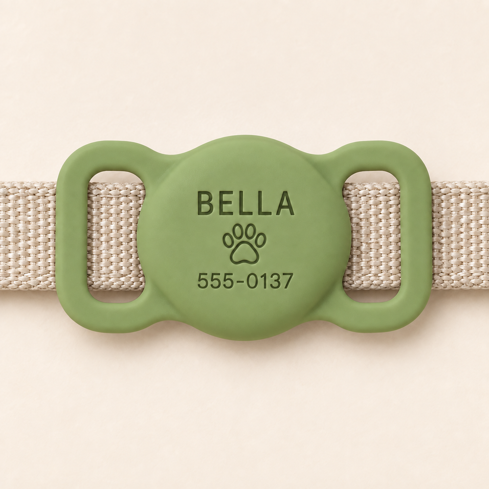 Personalized AirTag Pet Collar Case – Avocado Green