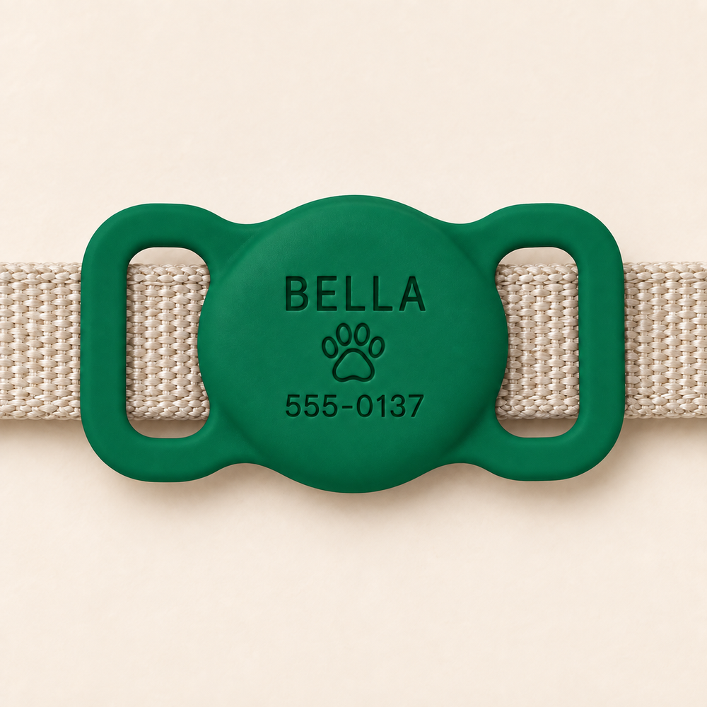 Personalized AirTag Pet Collar Case – Green