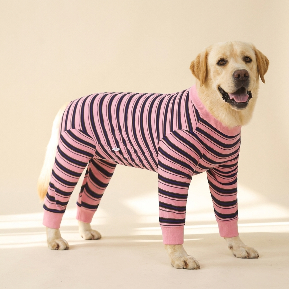 Striped four-legged dog jumpsuit pajamas on a cream studio background