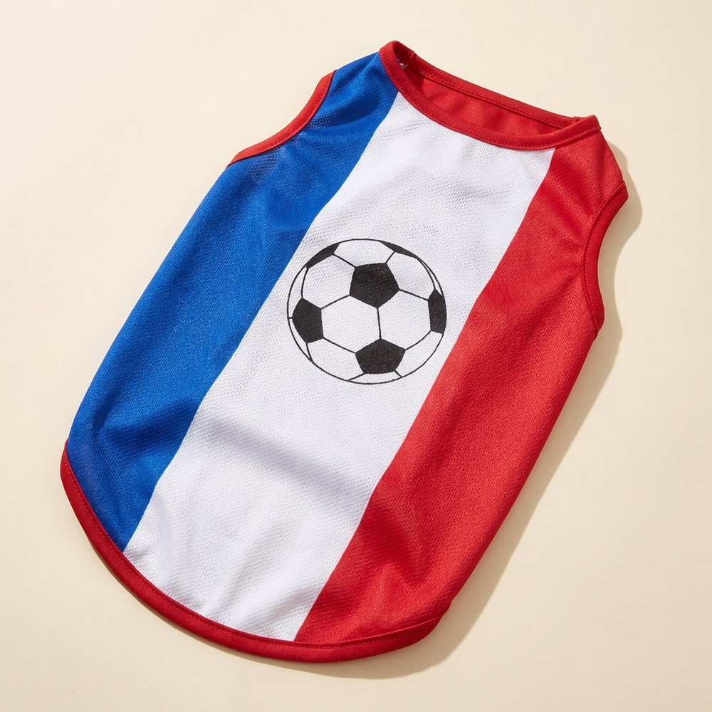 Dog football jersey with national flag design on a cream studio background