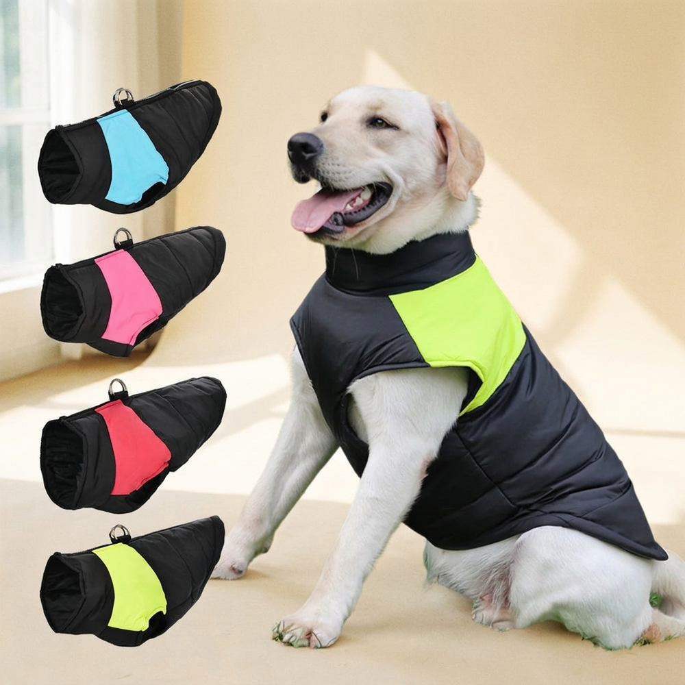 Windproof waterproof padded winter dog jacket with D-ring on a cream studio background