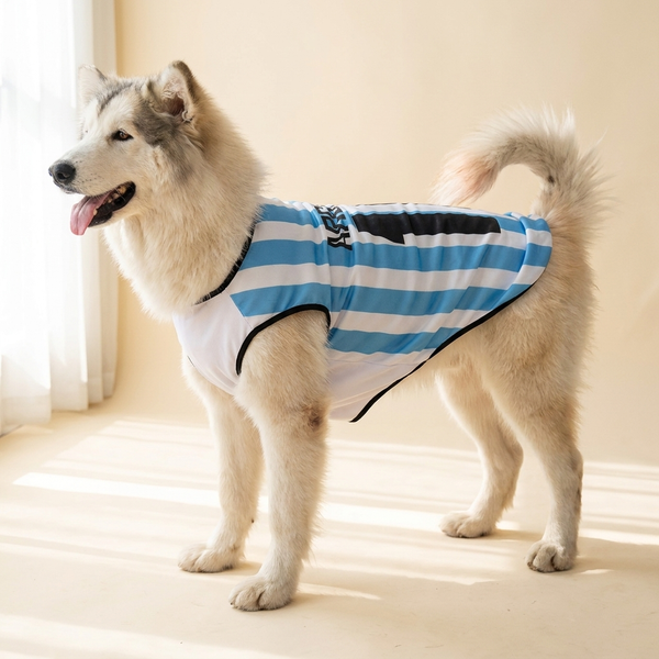 Pet wearing a breathable mesh World Cup national-team soccer jersey on a cream studio background