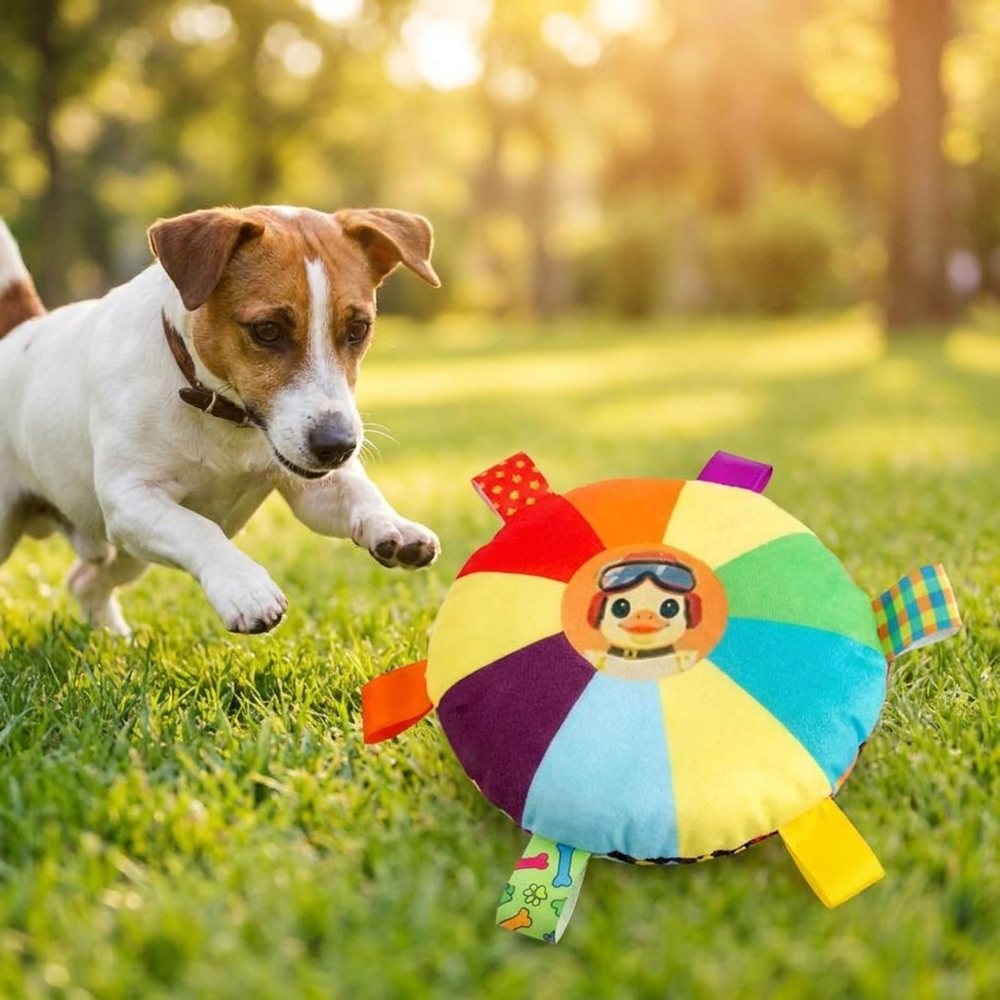 Squeaky Flying Disc Dog Toy – Soft Plush Fetch & Chew Frisbee – lifestyle product photo