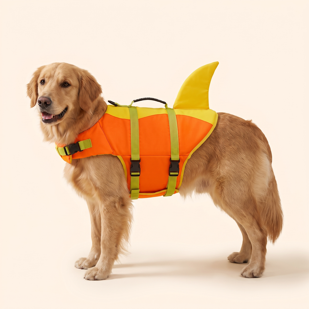 Dog wearing orange shark fin life jacket, clean studio product photo