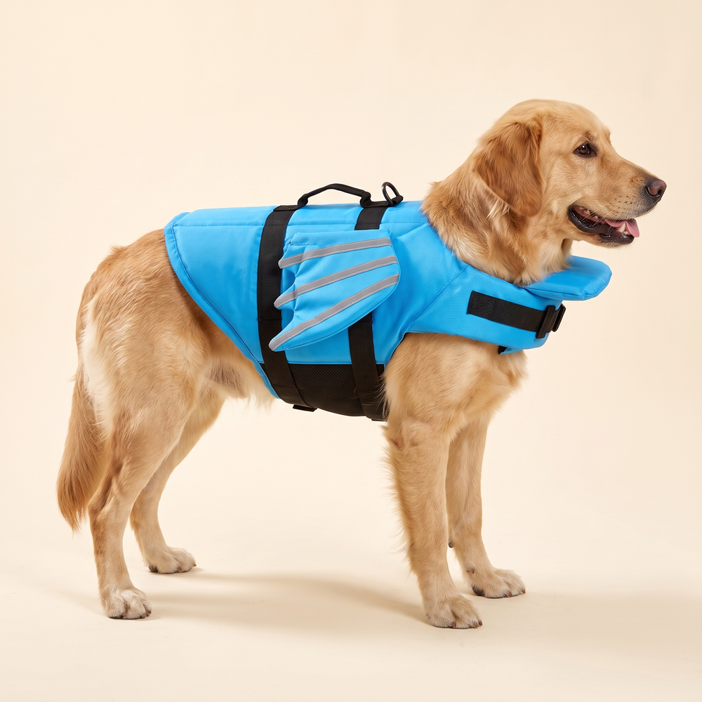Dog wearing blue reflective wing life jacket with chin float, clean studio product photo