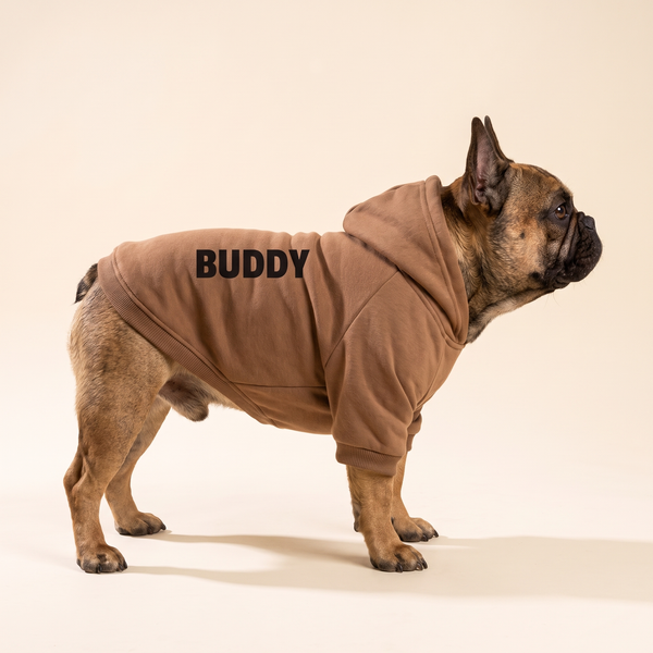 French bulldog wearing a personalized brown dog hoodie printed with BUDDY, studio product photo