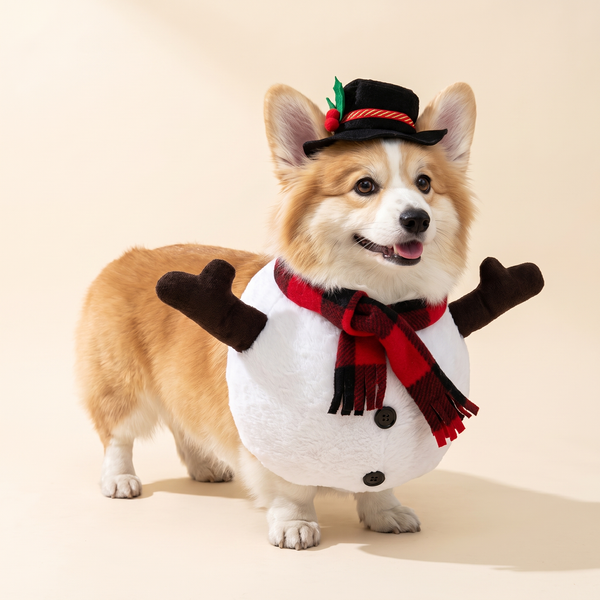 Dog wearing the snowman Christmas costume – Pawsome Plushies