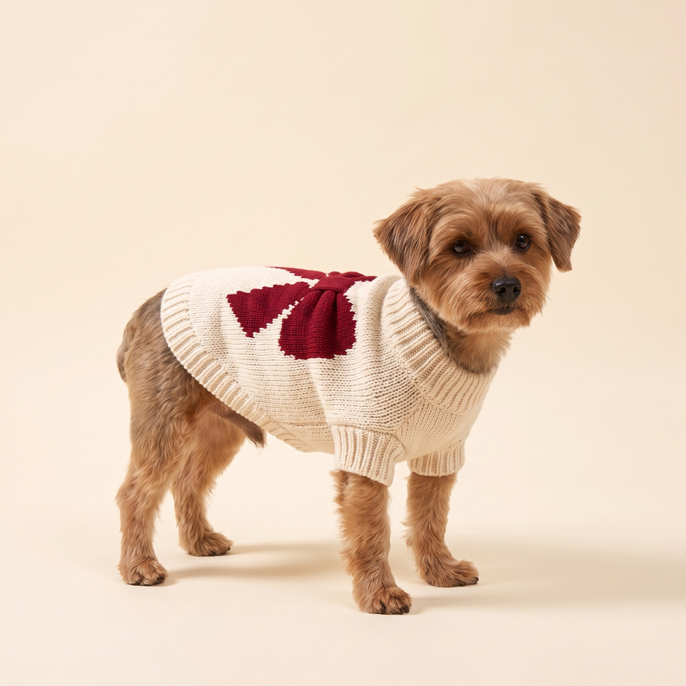 Dog wearing the green bow knitted Christmas sweater