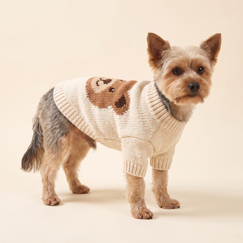Dog wearing the teddy bear knitted Christmas sweater