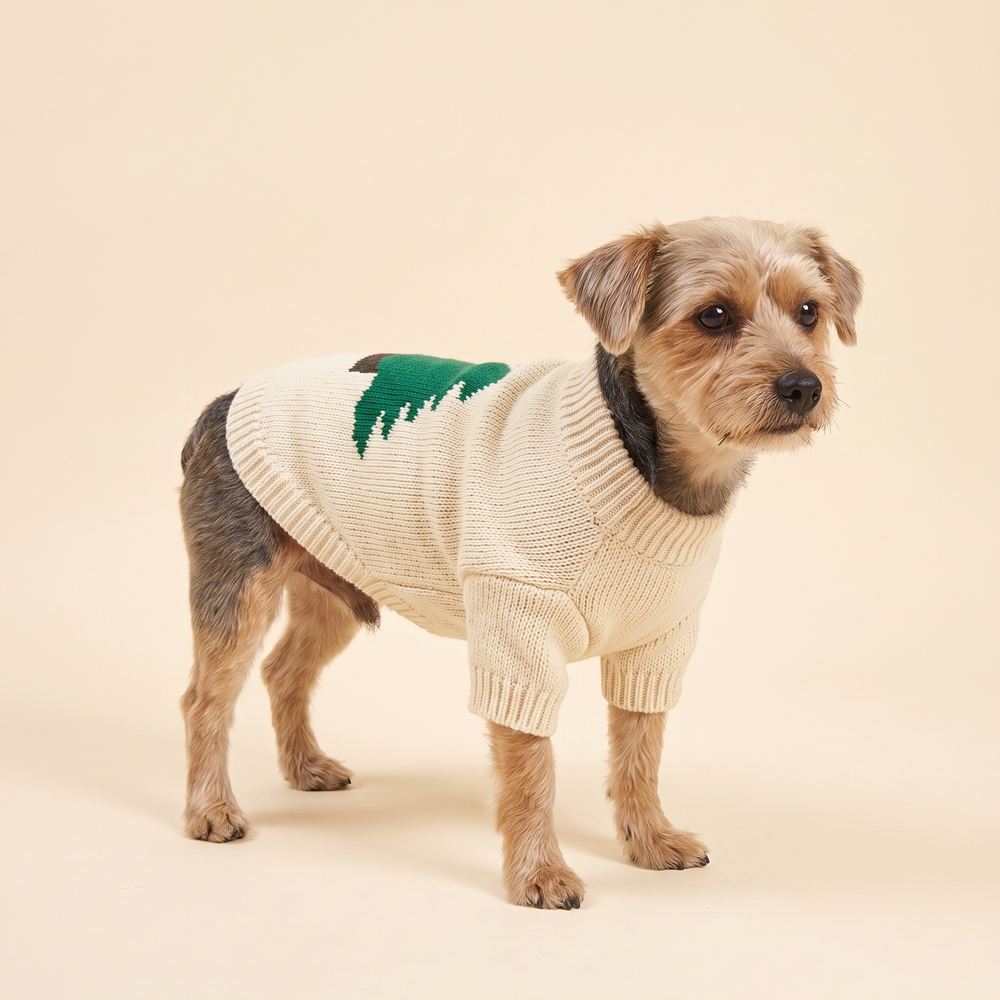 Dog wearing the Christmas tree knitted sweater