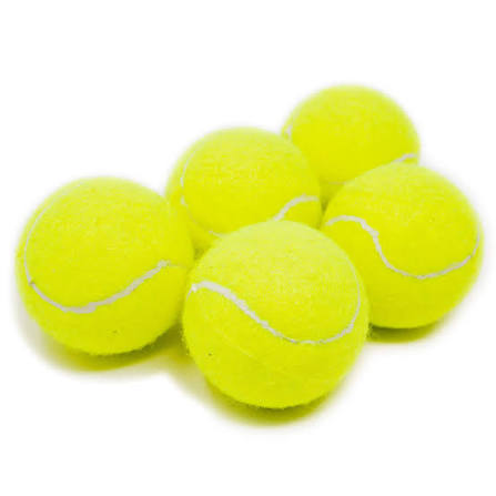 Dog Ball Launcher Toy – Interactive Fetch Trainer with 2 Balls